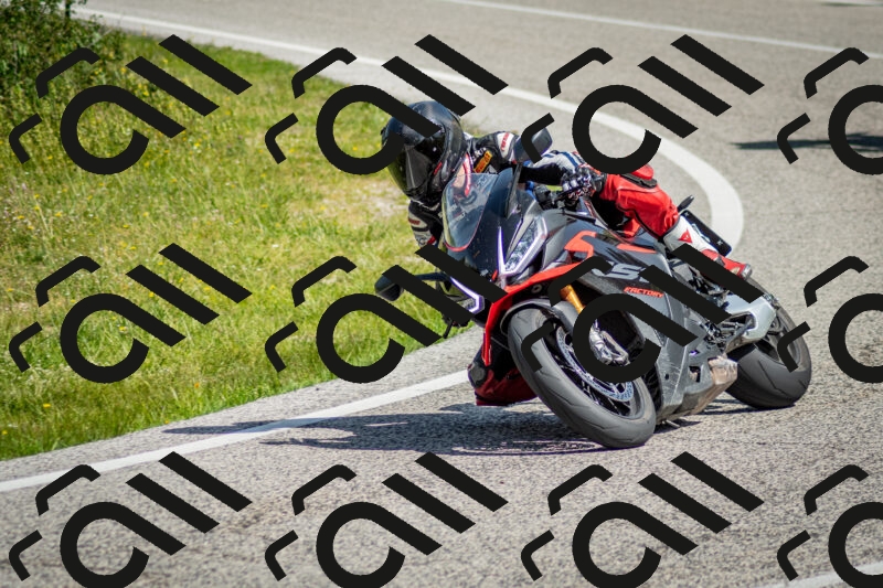 202506071040-DSC_4395_c2