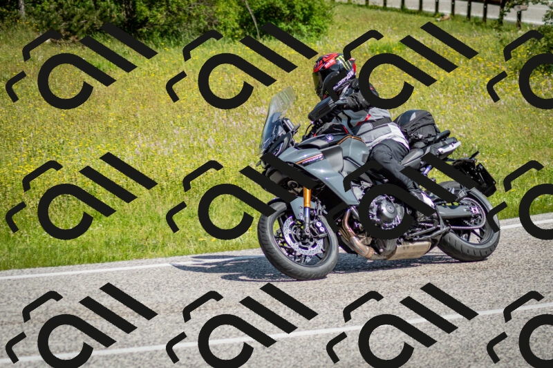 202506071040-DSC_4408_c2