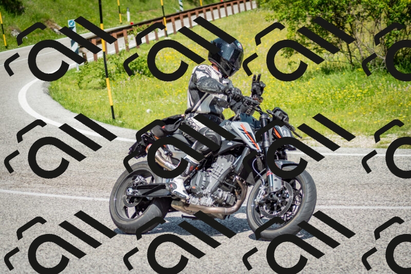 202506071049-DSC_4428_c2