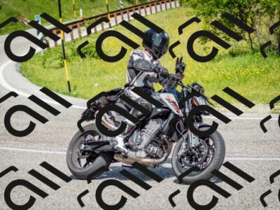 202506071049-DSC_4428_c2