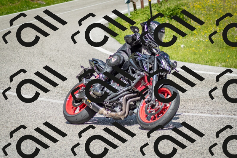 202506071049-DSC_4435_c2