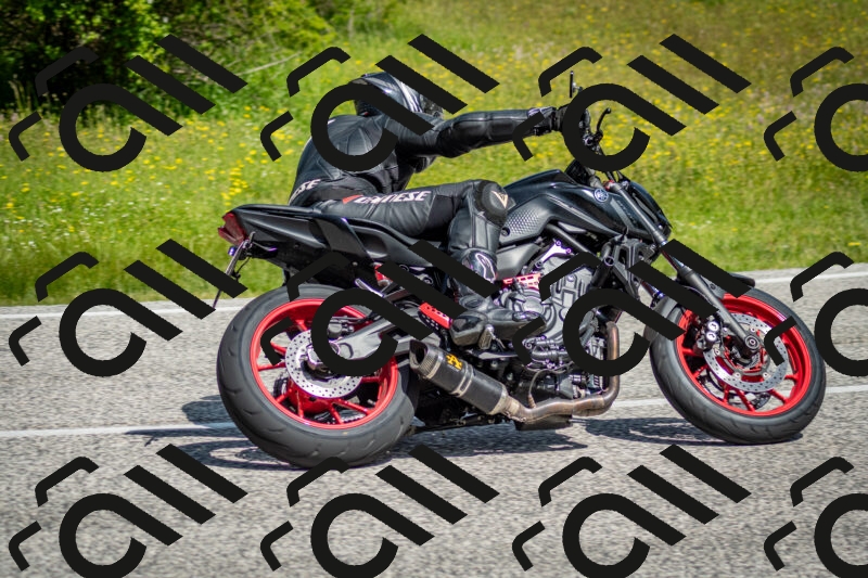 202506071049-DSC_4436_c2