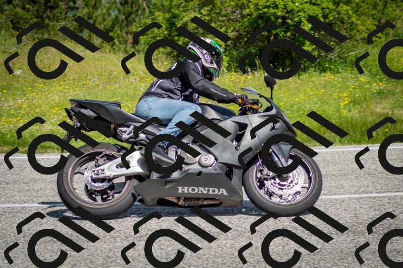 202506071051-DSC_4442_c2