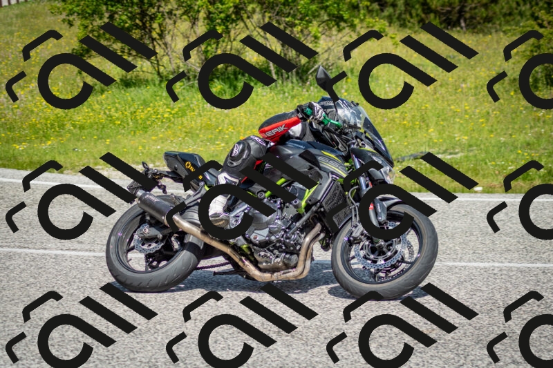 202506071051-DSC_4444_c2