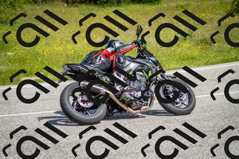 202506071051-DSC_4445_c2