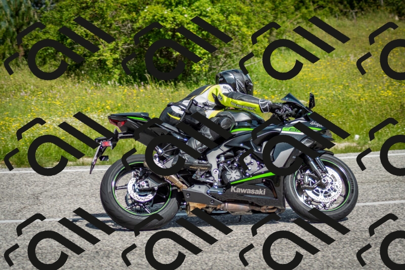 202506071052-DSC_4448_c2