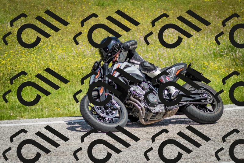 202506071054-DSC_4455_c2