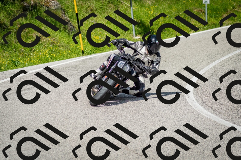 202506071055-DSC_4474_c2