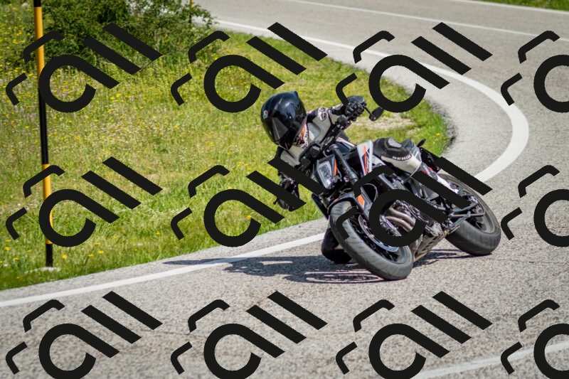 202506071056-DSC_4479_c2