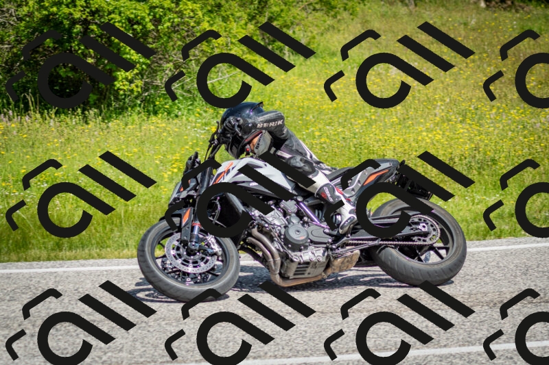 202506071056-DSC_4480_c2