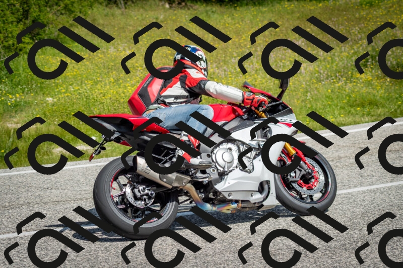 202506071056-DSC_4486_c2