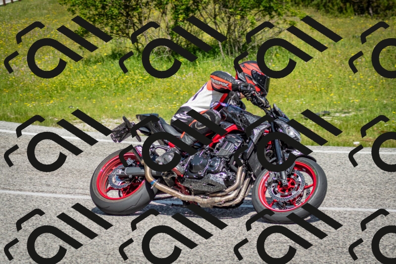 202506071057-DSC_4496_c2