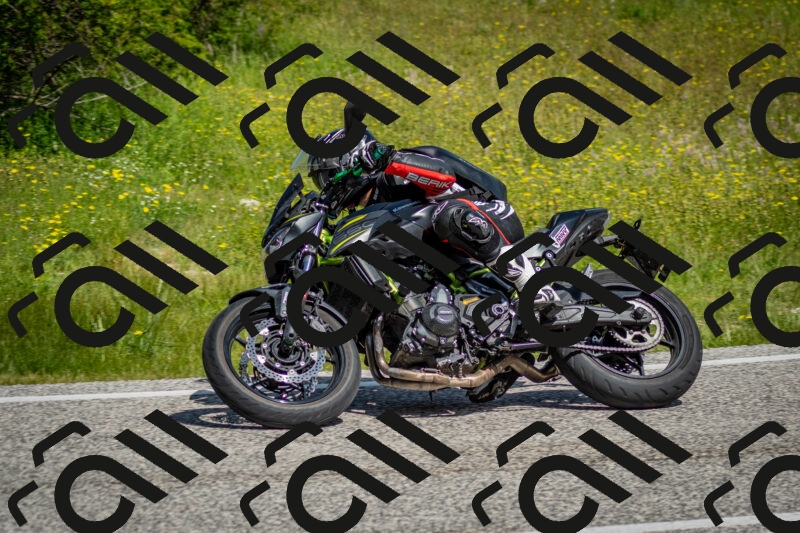 202506071057-DSC_4499_c2