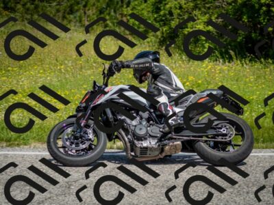 202506071057-DSC_4501_c2