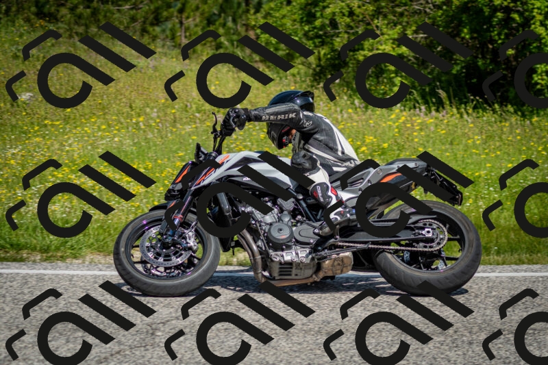 202506071057-DSC_4501_c2