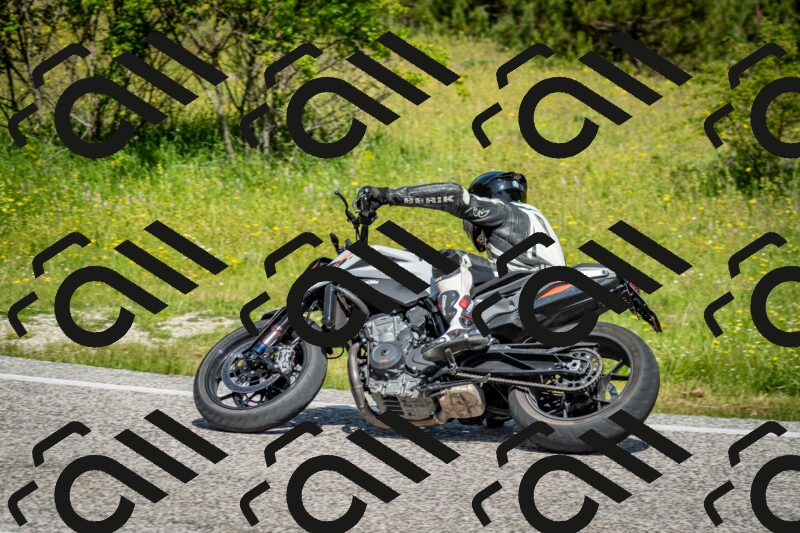 202506071057-DSC_4502_c2