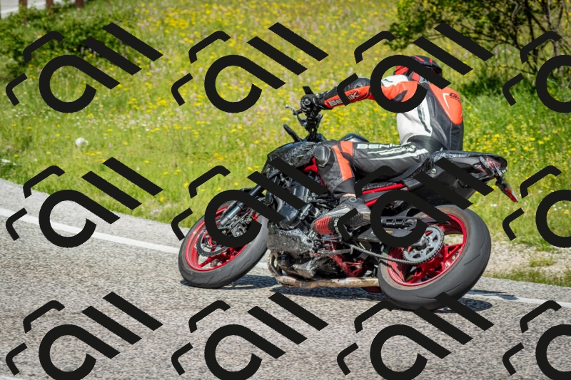 202506071057-DSC_4505_c2