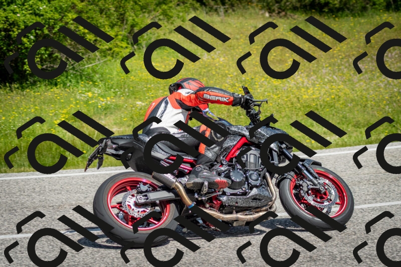 202506071058-DSC_4509_c2