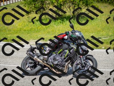 202506071058-DSC_4511_c2