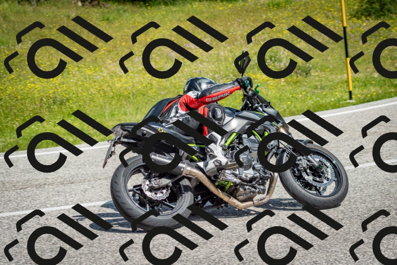 202506071058-DSC_4512_c2