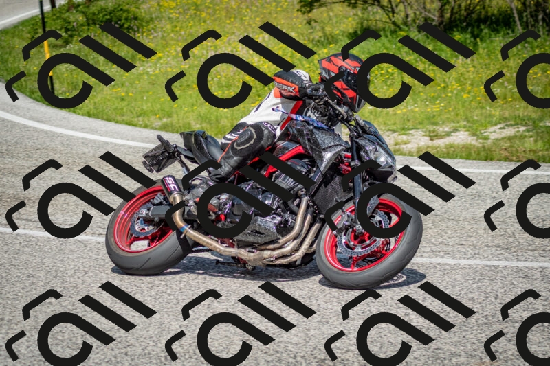 202506071100-DSC_4519_c2