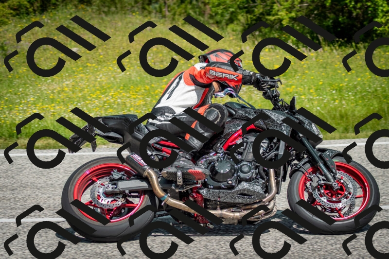 202506071100-DSC_4520_c2