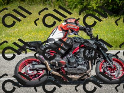 202506071100-DSC_4520_c2