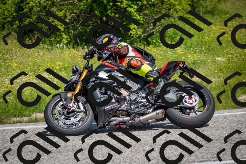 202506071102-DSC_4533_c2