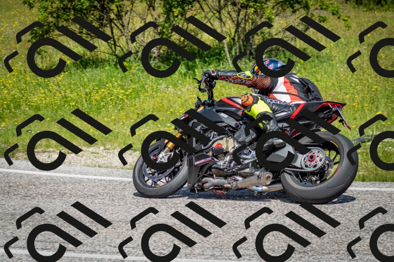 202506071102-DSC_4534_c2