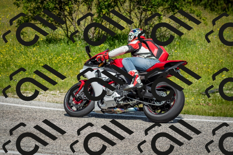 202506071103-DSC_4537_c2