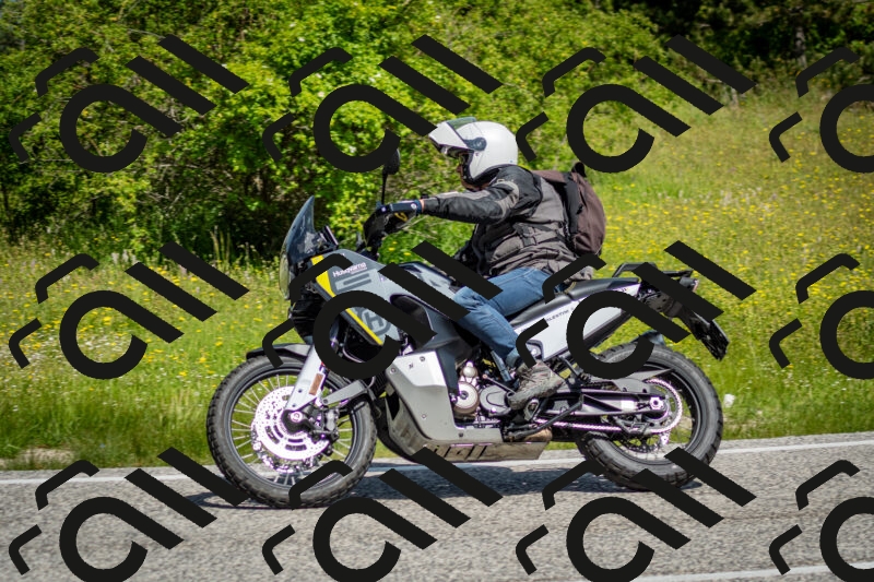 202506071105-DSC_4550_c2