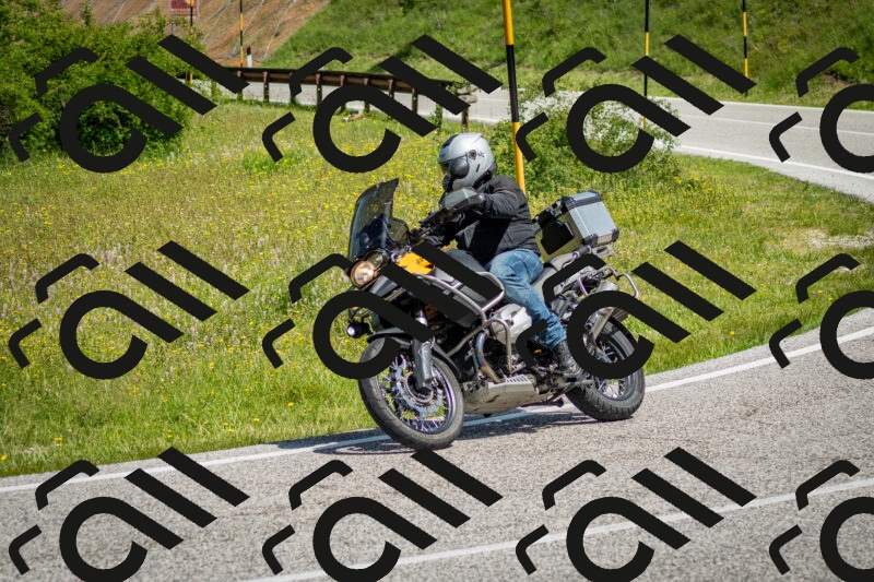 202506071105-DSC_4558_c2