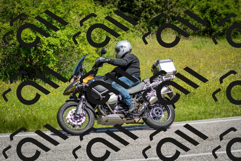 202506071105-DSC_4559_c2