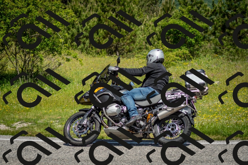 202506071105-DSC_4560_c2