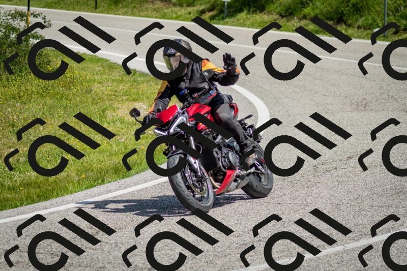 202506071106-DSC_4561_c2