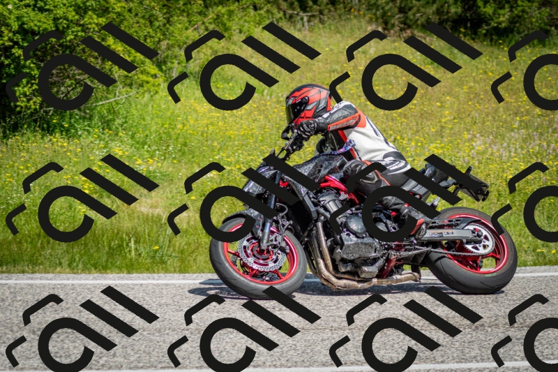 202506071107-DSC_4568_c2