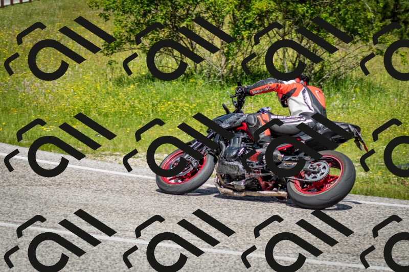 202506071107-DSC_4569_c2