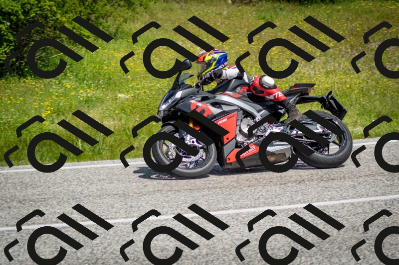 202506071108-DSC_4584_c2