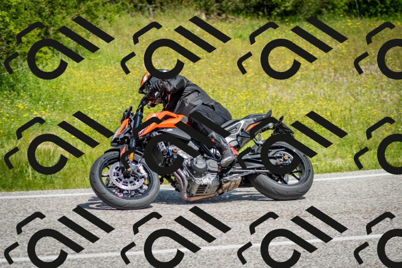 202506071112-DSC_4605_c2