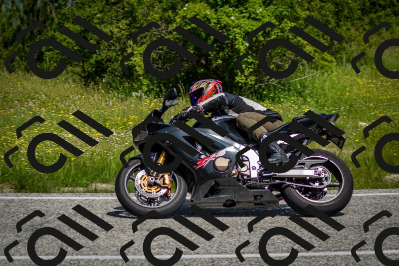 202506071112-DSC_4610_c2