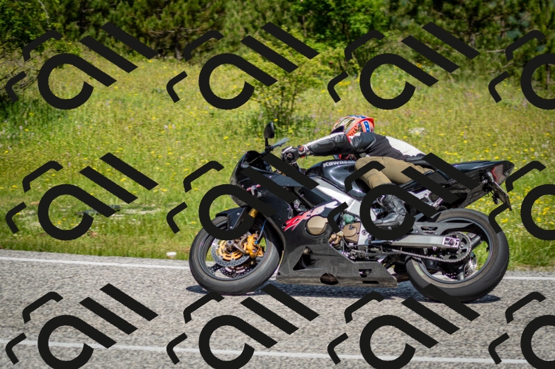 202506071112-DSC_4611_c2