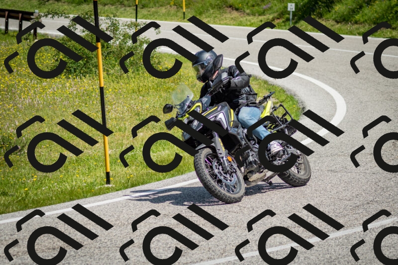 202506071121-DSC_4635_c2