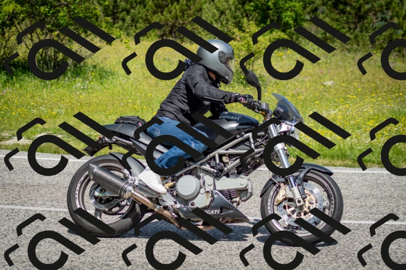 202506071122-DSC_4649_c2