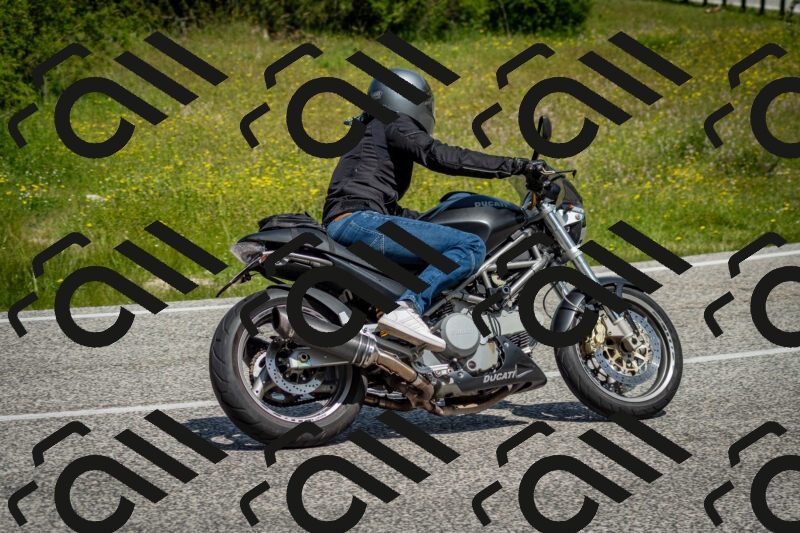 202506071122-DSC_4650_c2