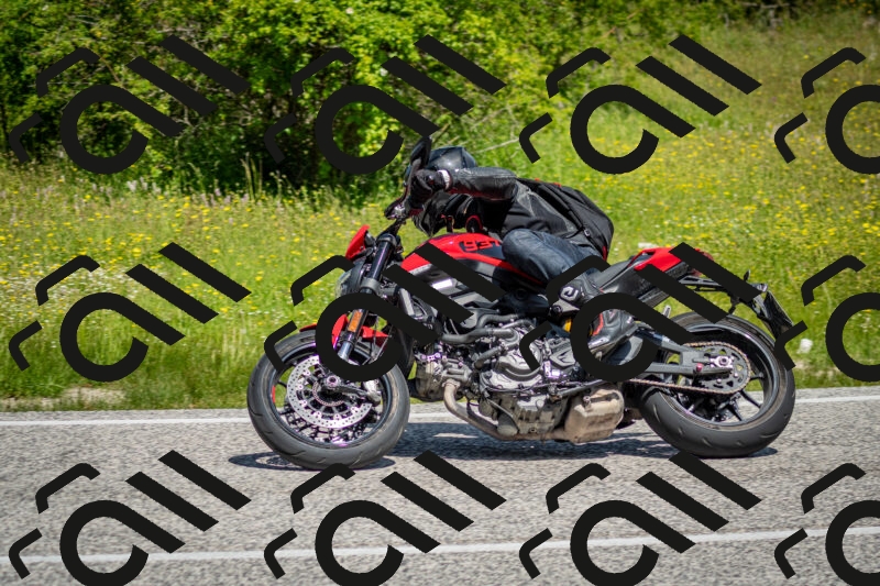 202506071122-DSC_4653_c2