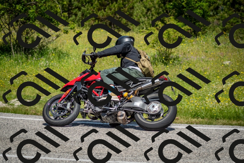 202506071122-DSC_4656_c2