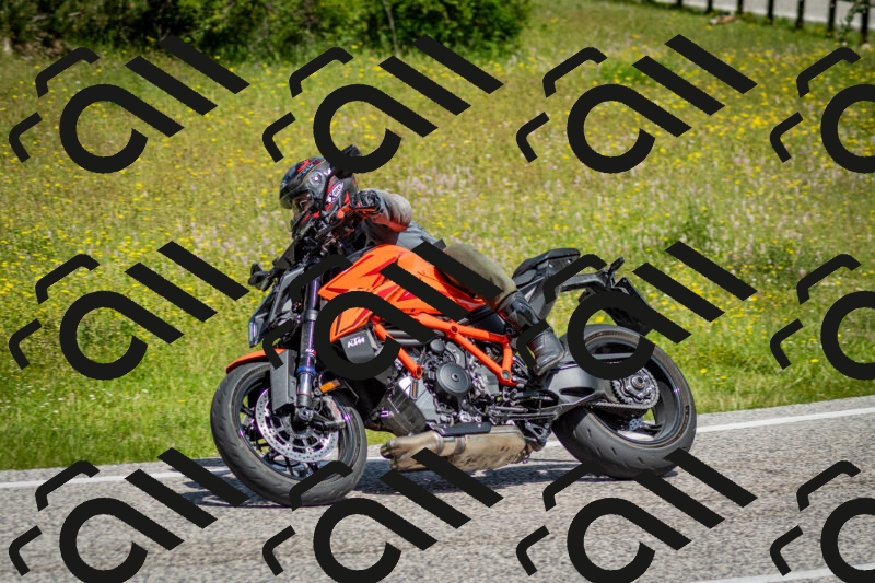 202506071122-DSC_4658_c2