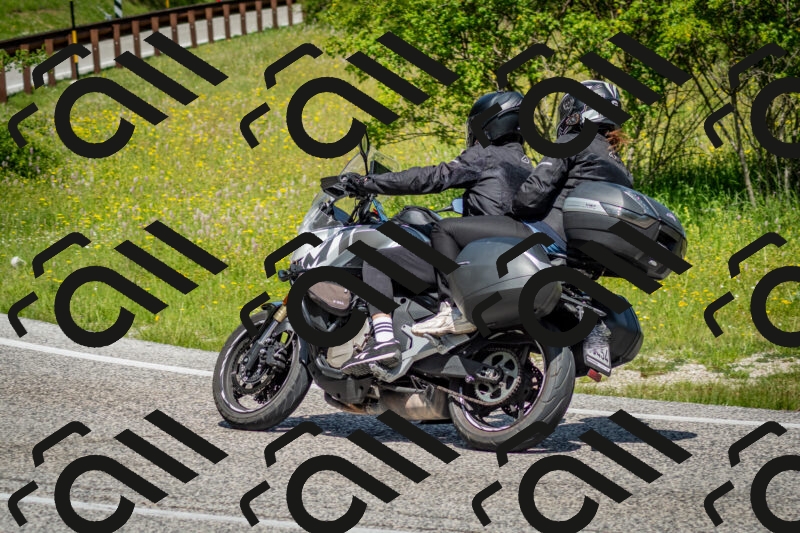 202506071123-DSC_4665_c2