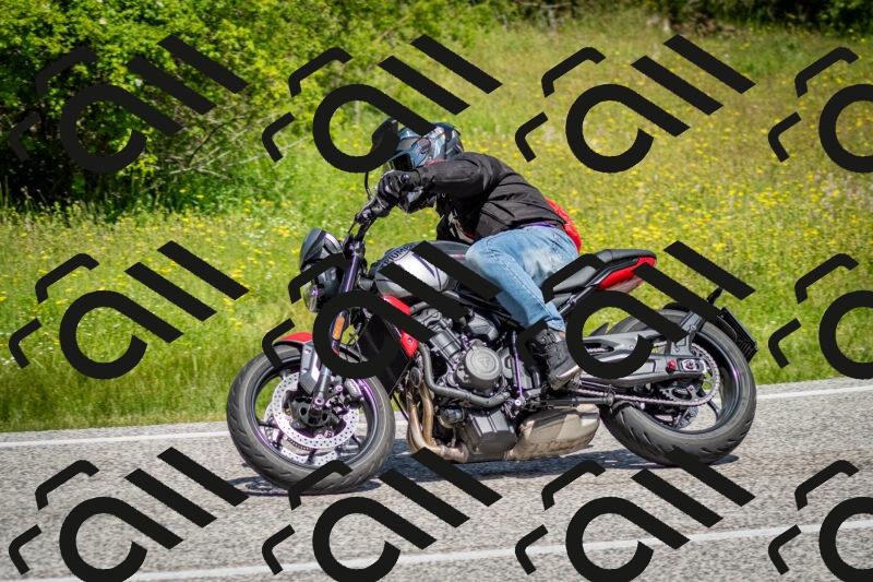 202506071124-DSC_4670_c2