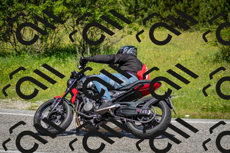 202506071124-DSC_4671_c2